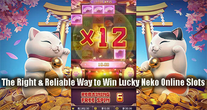 The Right & Reliable Way to Win Lucky Neko Online Slots