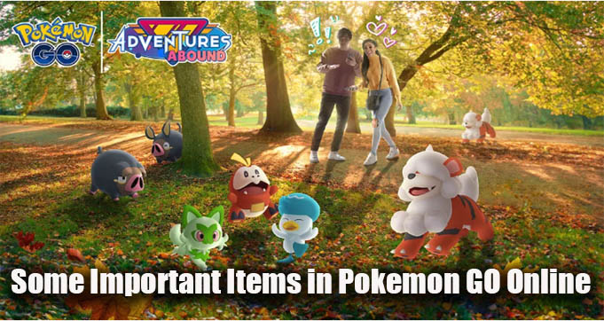 Some Important Items in Pokemon GO Online